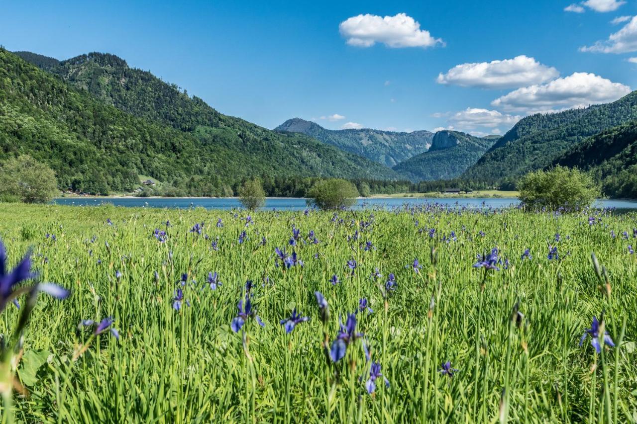פאיסטנאו Hotel Fischerwirt Natur Waldspa מראה חיצוני תמונה