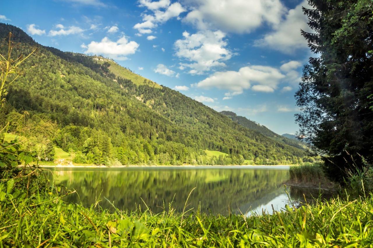 פאיסטנאו Hotel Fischerwirt Natur Waldspa מראה חיצוני תמונה